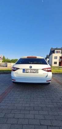 Skoda Superb cena 83500 przebieg: 93000, rok produkcji 2017 z Ełk małe 667